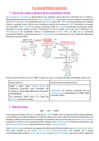 Tema 3. Control de niveles y efectos de nucleótidos cíclicos..pdf