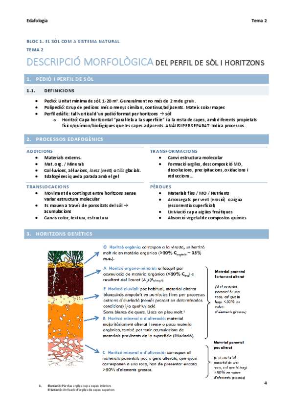 edf-t2-descripcio-morfologica.pdf