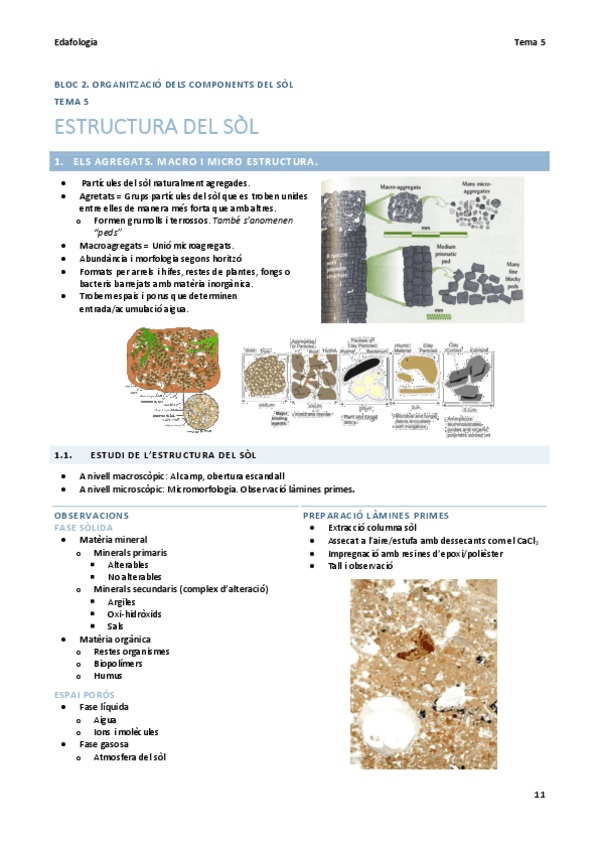edf-t5-estructura-del-sol.pdf
