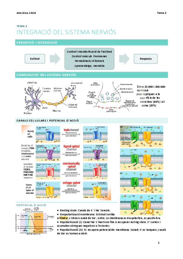 faca-t2-sistema-nervios.pdf