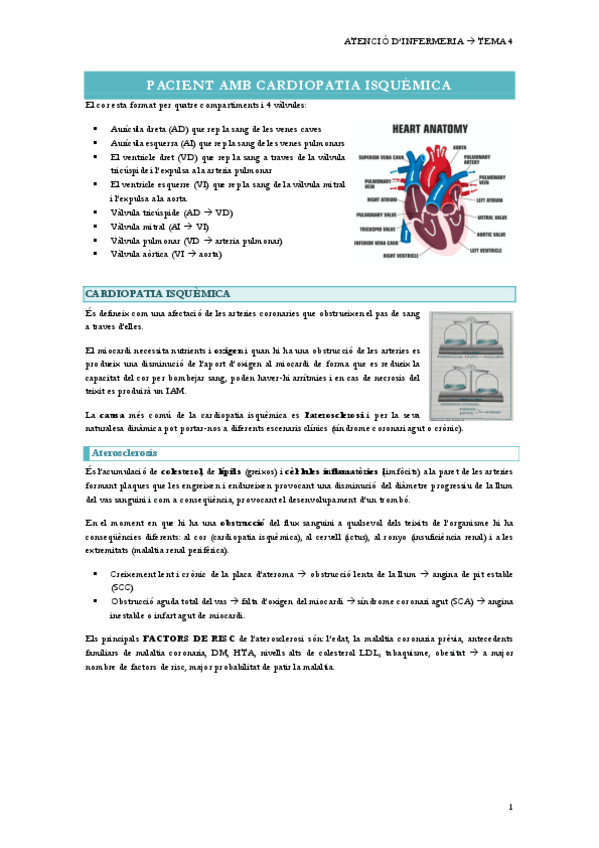 4.-PACIENT-AMB-CARDIOPATIA-ISQUEMICA.pdf