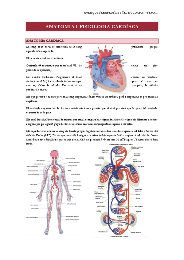 T1ANATOMIA-I-FISIOLOGIA-CARDIACA.pdf