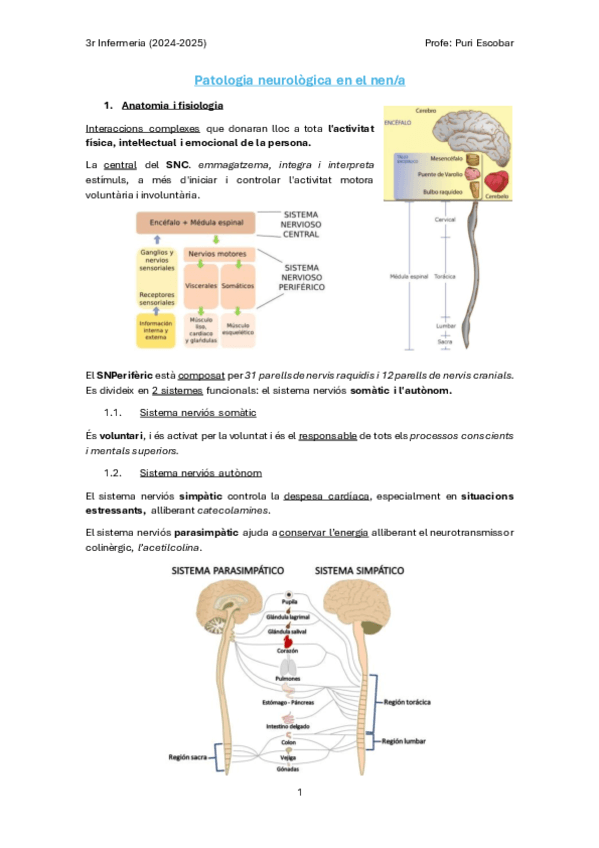 Patologia-neurologica-en-el-nen.pdf