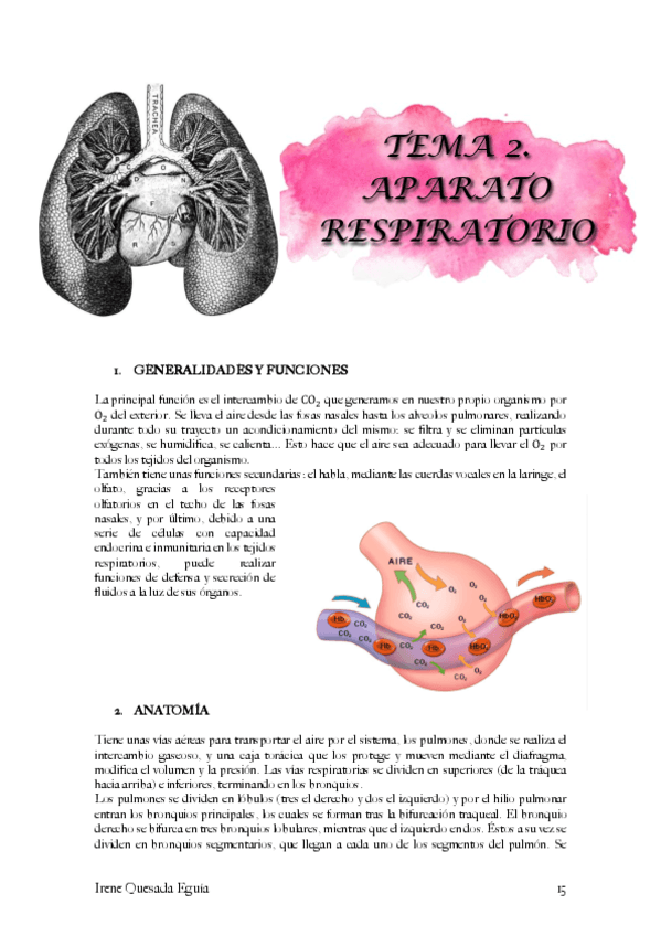 Histologia-aparato-respiratorio.pdf