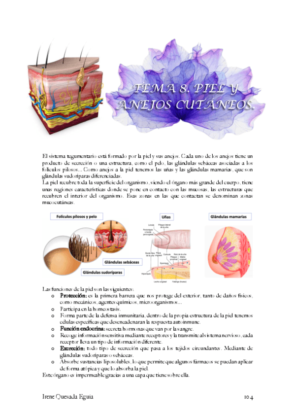 Histologia-piel-y-anejos-cutaneos.pdf