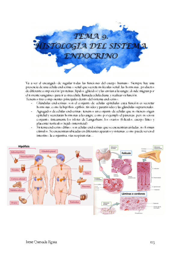 Histologia-sistema-endocrino.pdf