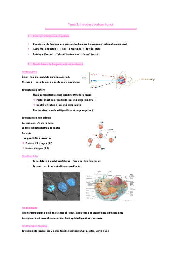 Tema-1.-Introduccio-al-cos-huma.pdf