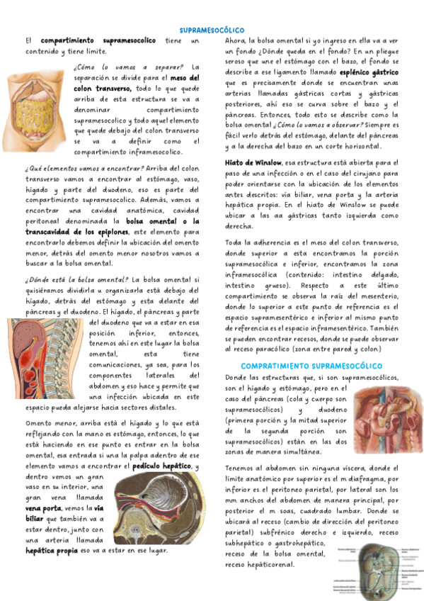 Supramesocolico.pdf