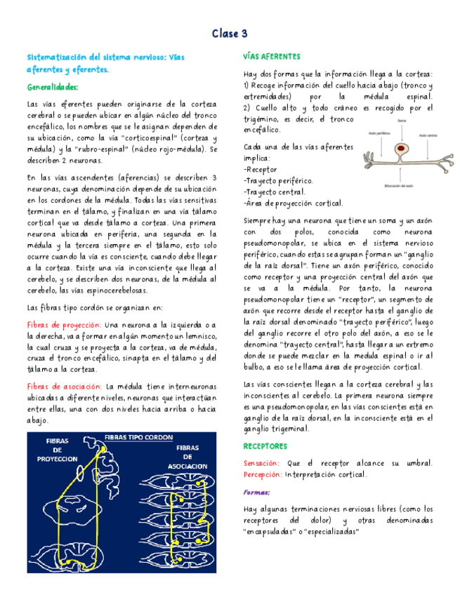 Sistematizacion-del-sistema-nervioso-Vias-aferentes-y-eferentes..pdf