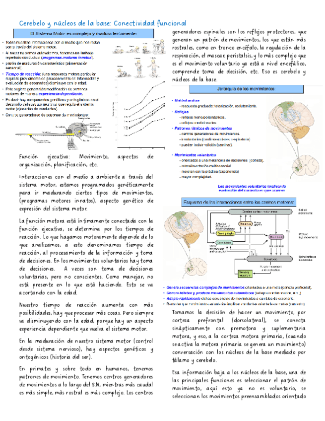 Cerebelo-y-nucleos-de-la-base-Conectividad-funcional.pdf