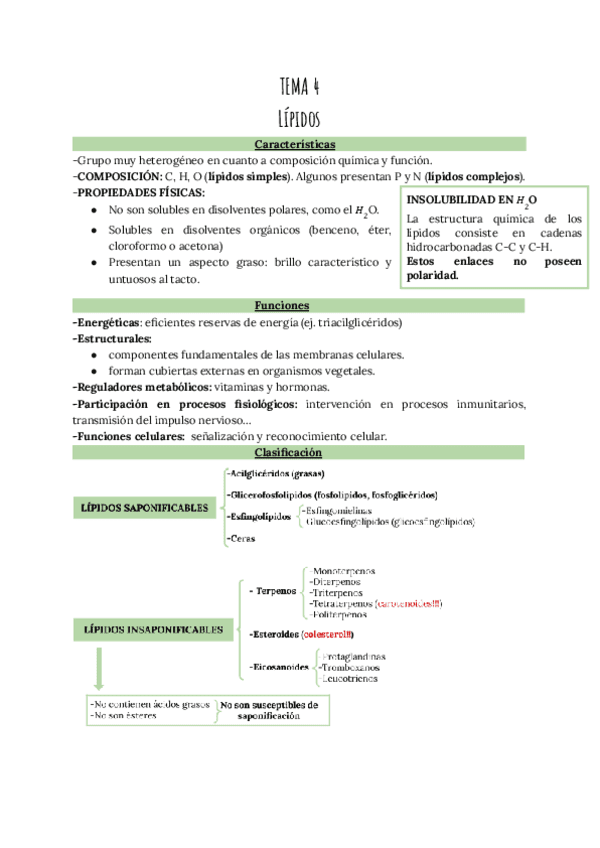 TEMA-4-Lipidos.pdf