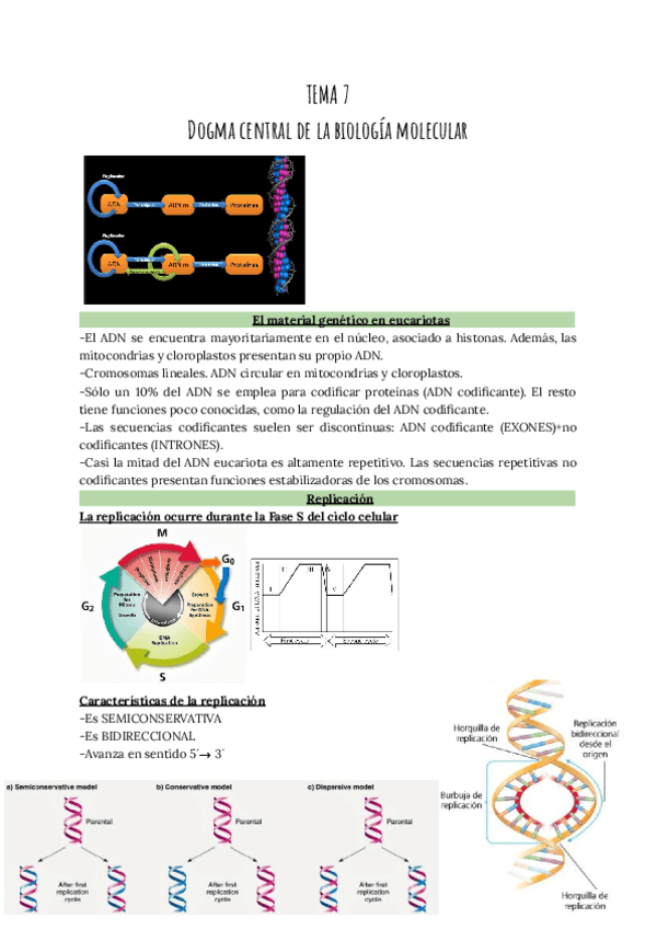 TEMA-7-Dogma-Central-Biologia-Molecular.pdf