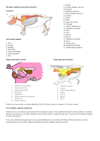 Etnologia i sistemes de producció porcina.pdf