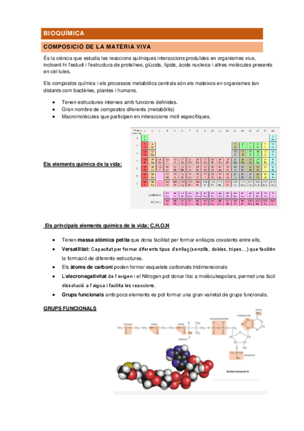 BIOQUIMICA-resum.pdf