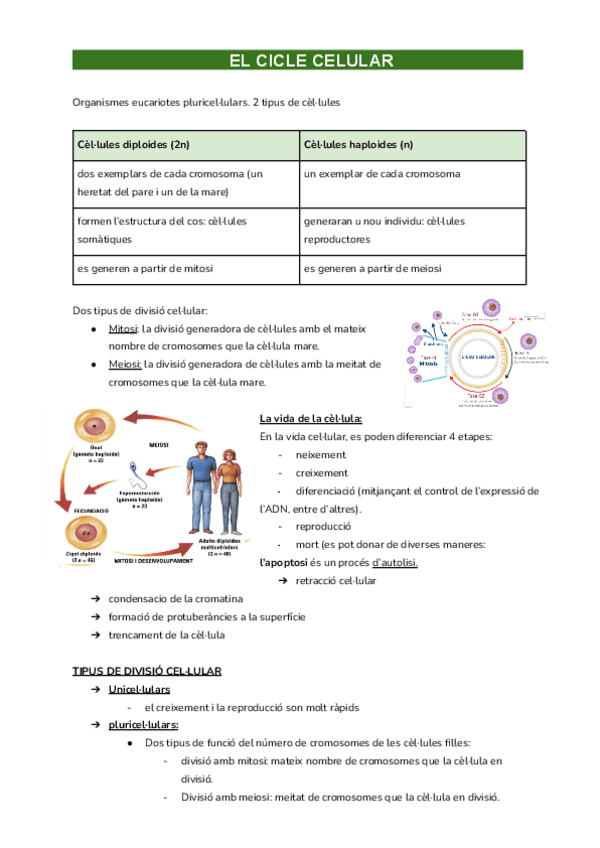 BIOLOGIA-3R-EXAMEN.pdf