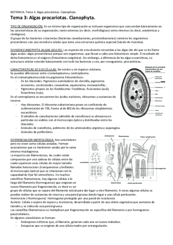 Tema-3-Algas-procariotas.pdf