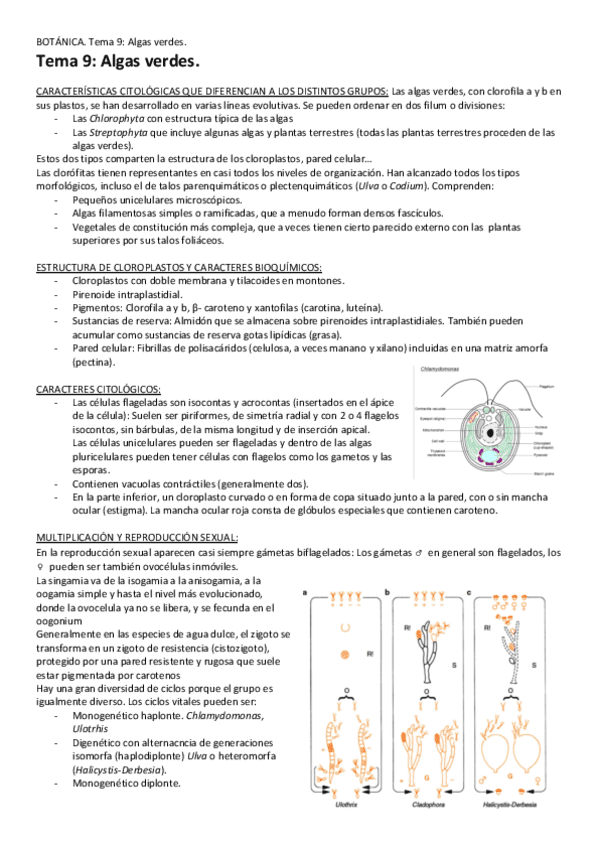 Tema-9-Algas-verdes.pdf