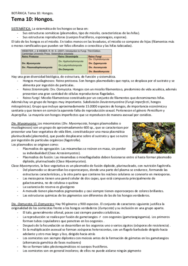 Tema-10-Hongos.pdf
