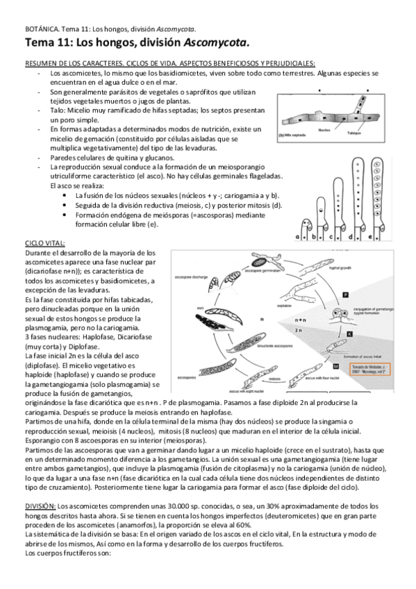 Tema-11-HongosJ-Ascomycota.pdf