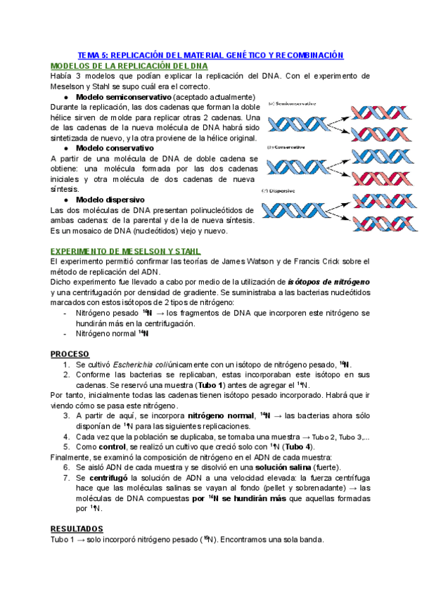 TEMA-5-REPLICACION-DEL-MATERIAL-GENETICO-Y-RECOMBINACION.pdf