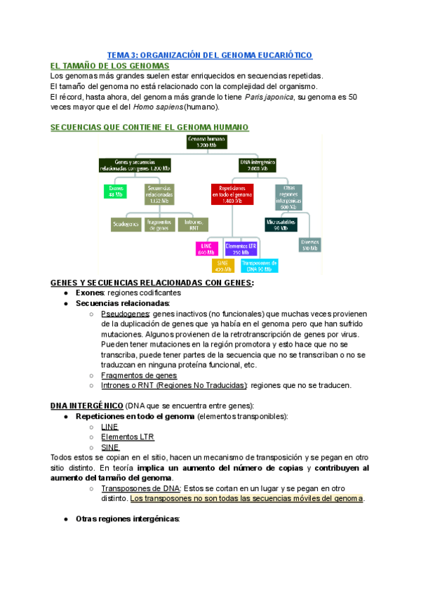 TEMA-3-ORGANIZACION-DEL-GENOMA-EUCARIOTICO.pdf