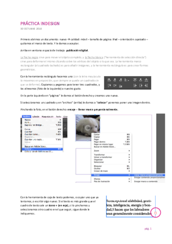 Práctica 1 indesign.pdf