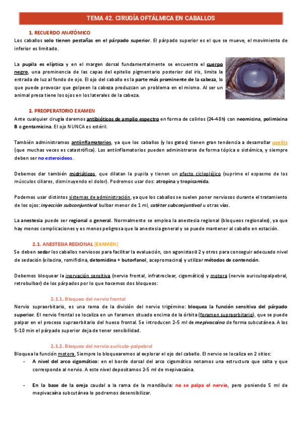 Tema-42.-Cirugia-oftalmica-en-caballos.pdf