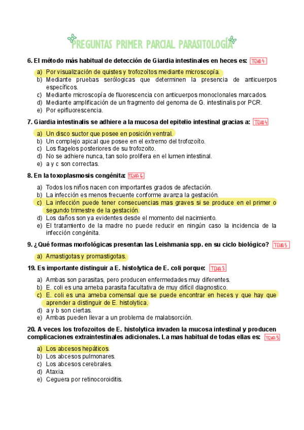 Preguntas-Primer-Parcial-Resuelto.pdf