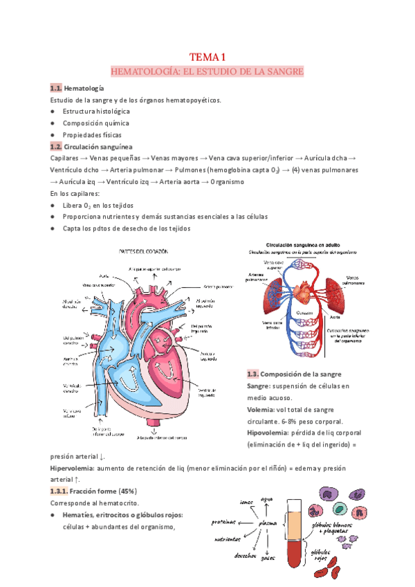 T.1-Hematologia.pdf