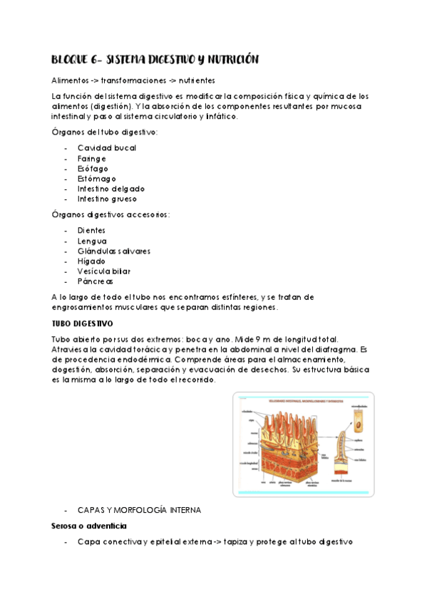 BLOQUE-6.pdf
