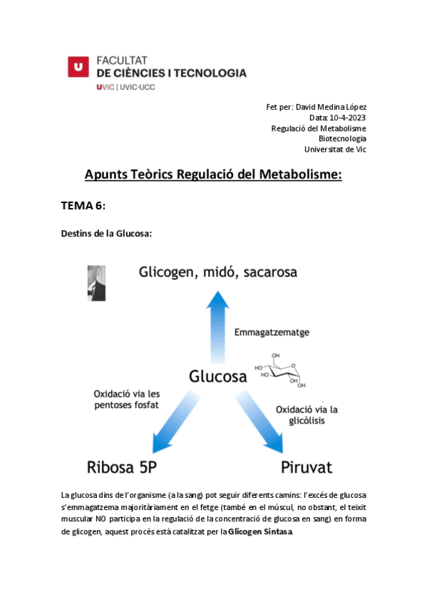 Apunts-Teorics-Tema-6-de-Metabolisme-UVic-PDF.pdf