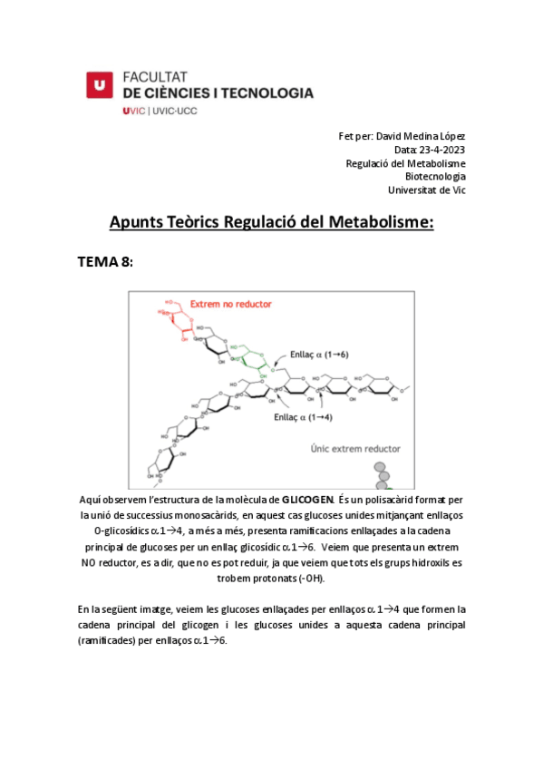 Apunts-Tema-8-Metabolisme-UVic.pdf