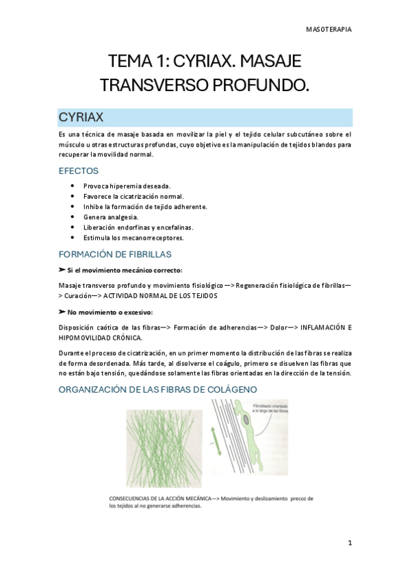 TEMA-1.-CYRIAX-2024.pdf