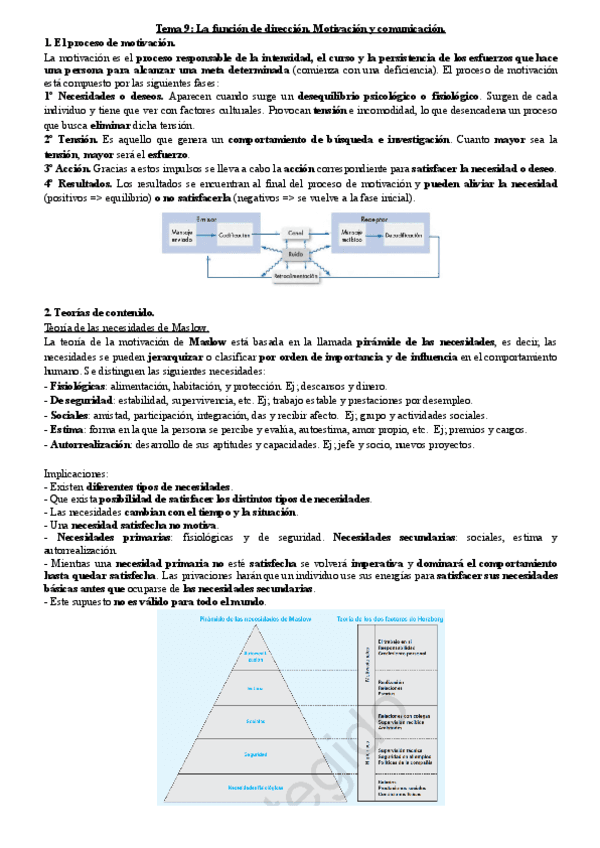 Tema-9-La-funcion-de-direccion.pdf
