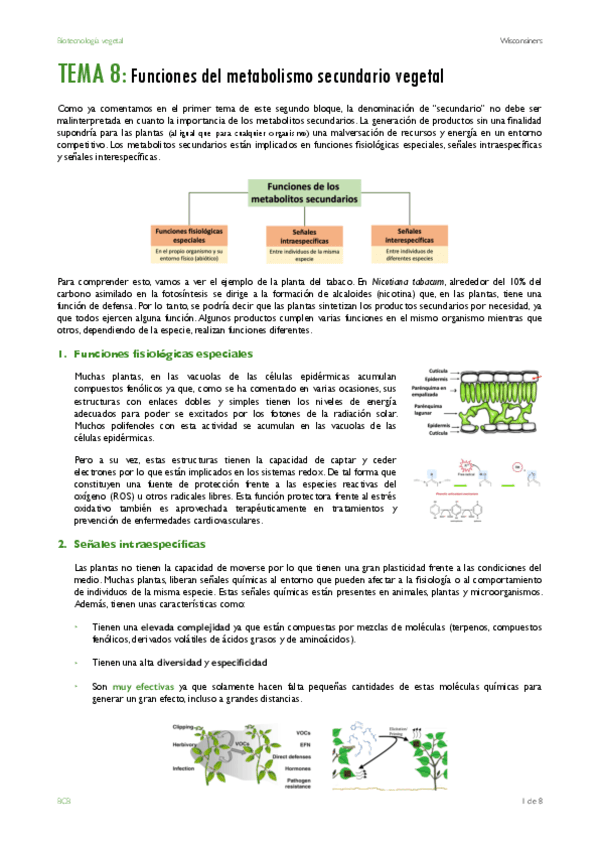 TEMA-8.pdf