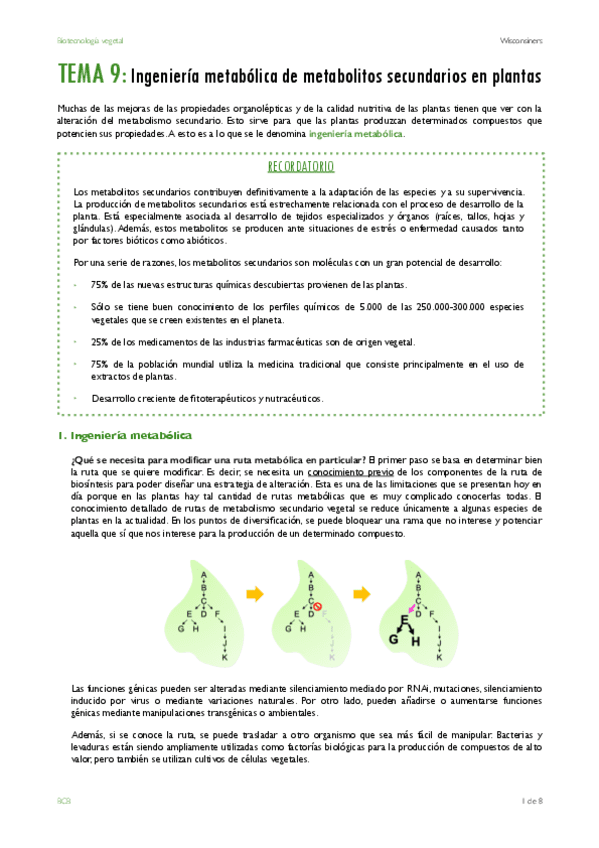 TEMA-9.pdf