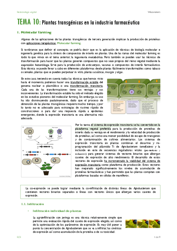 TEMA-10.pdf