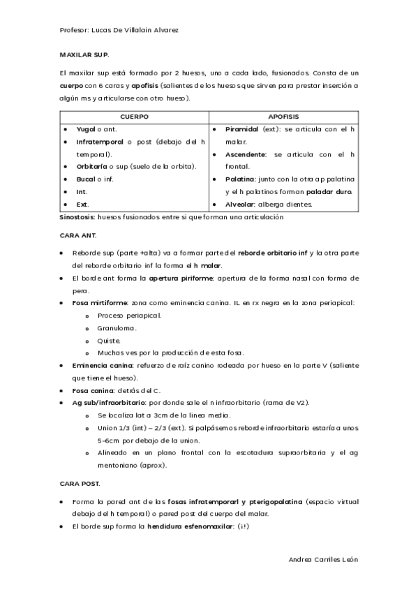 TEMA-2.-ANATOMIA-MAXILARES.-MAXILAR-SUP.pdf