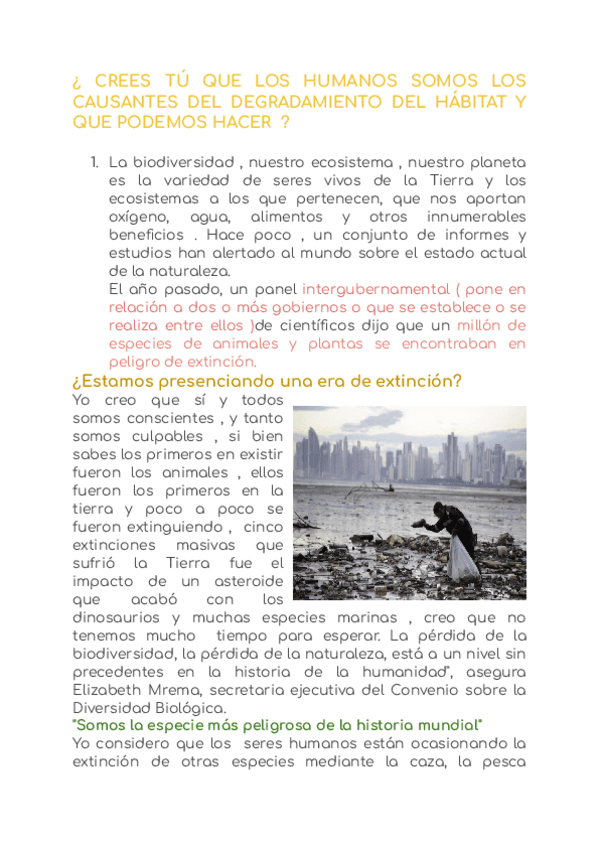 MEDIO-AMBIENTE.pdf