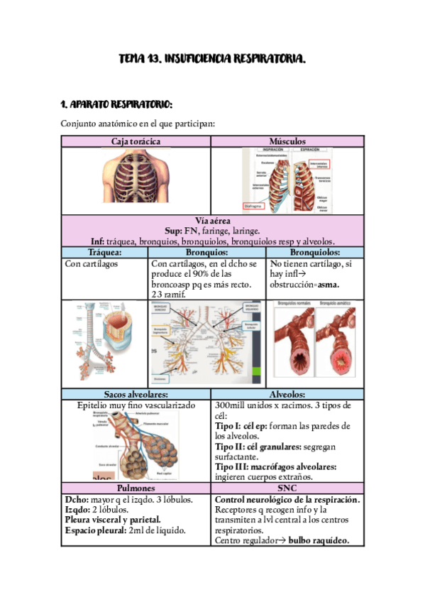 TEMA-13-INSUFICIENCIA-RESPIRATORIA.pdf