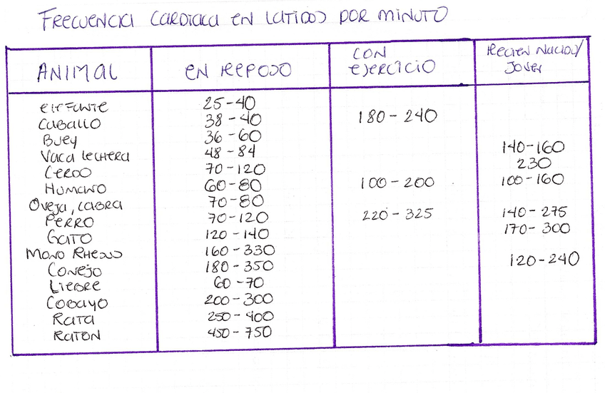 FRECUENCIA-CARDIACA-ANIMALES-FISIO-MAPA.jpg
