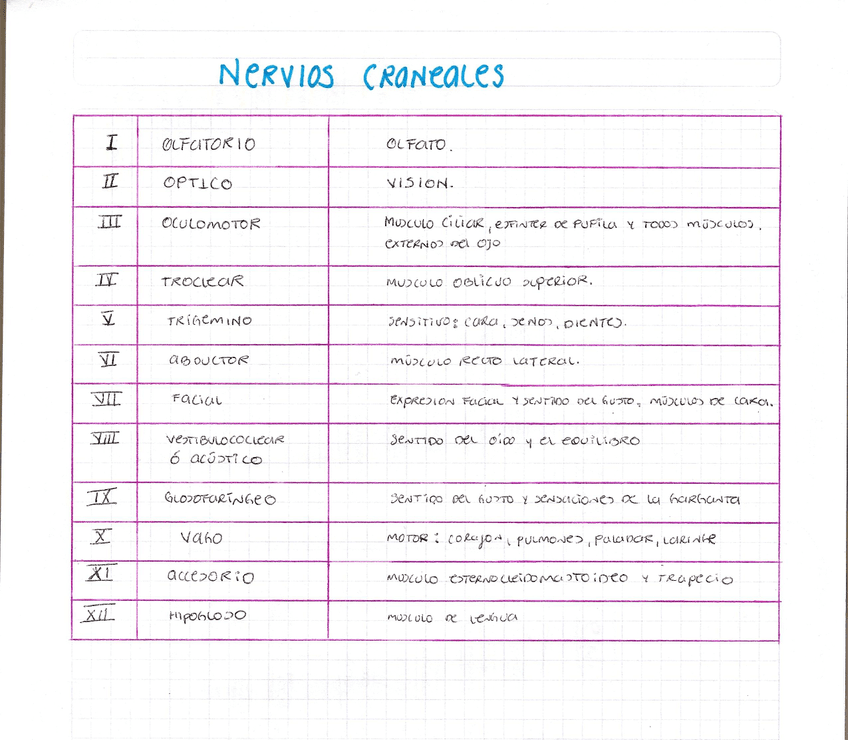 NERVIOS-CRANEALES-2.jpg