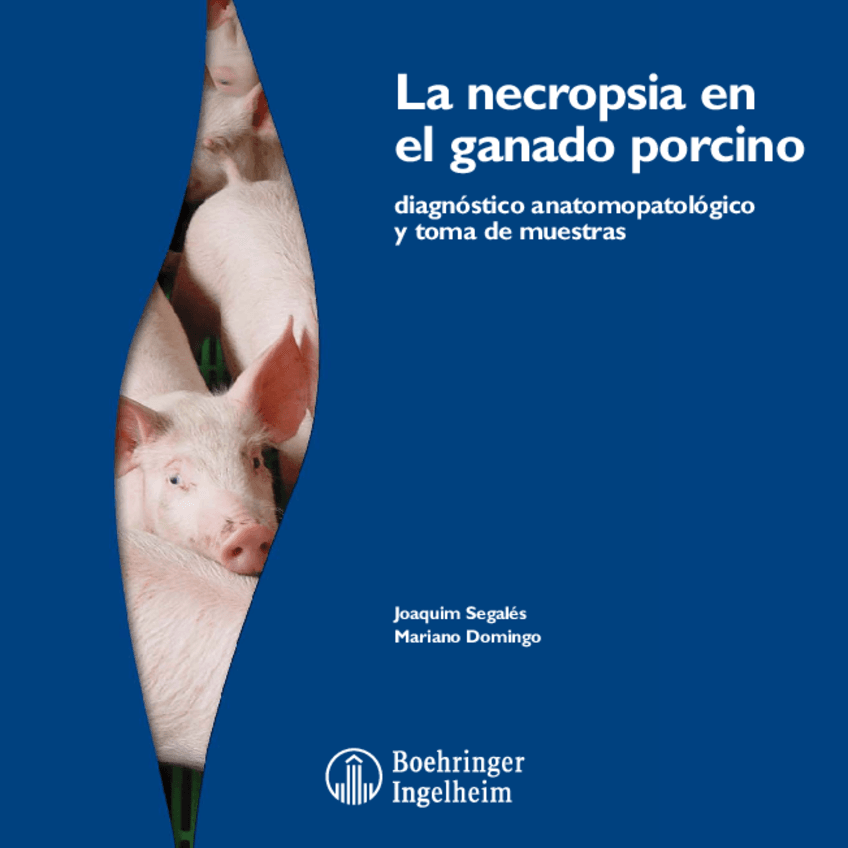 NECROPSIA.pdf