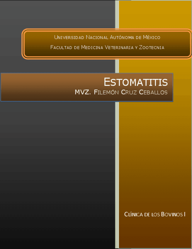 estomatitis.pdf