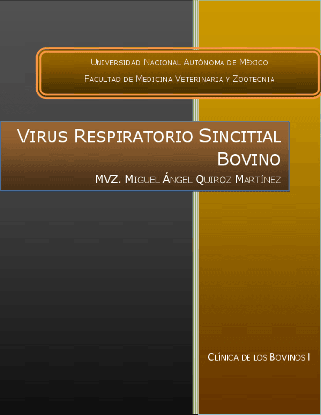 virus-respiratorio-sincital-bovino.pdf