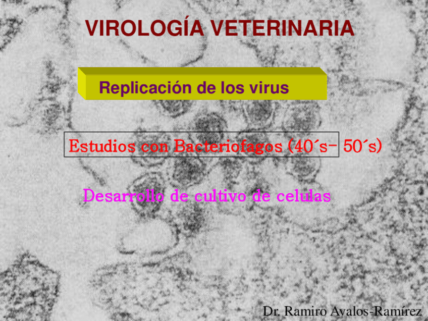 Replicacion-viral.pdf