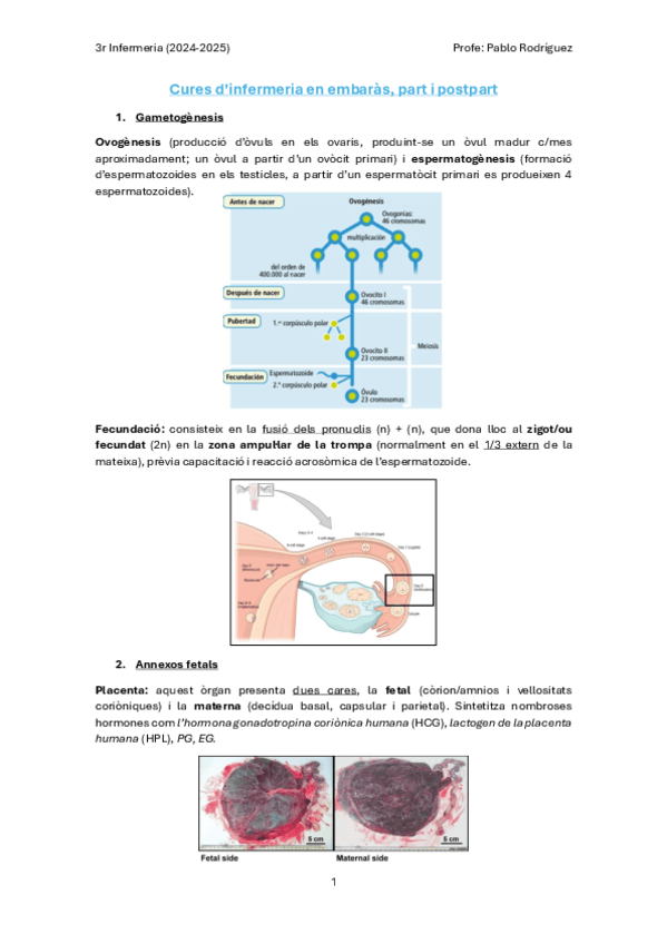 Cures-Infermeria-en-embaras-part-i-postpart.pdf