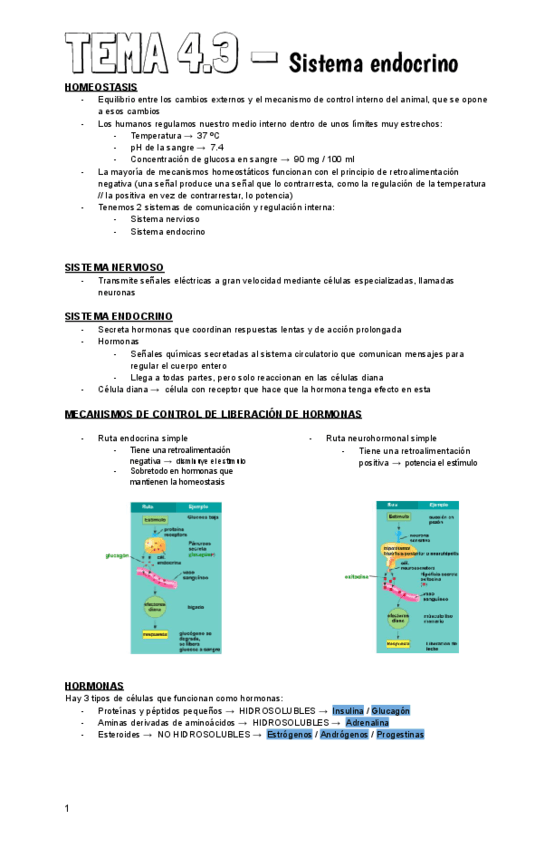 Tema 4.3 (BIO).pdf