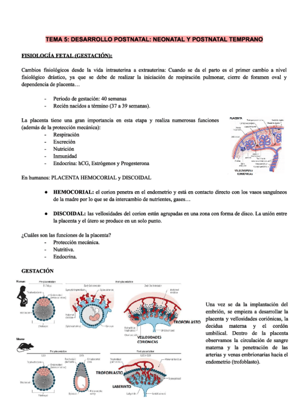 Tema5.pdf