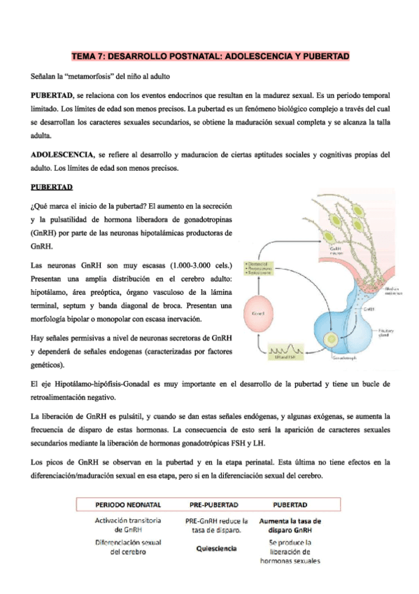 Tema7.pdf
